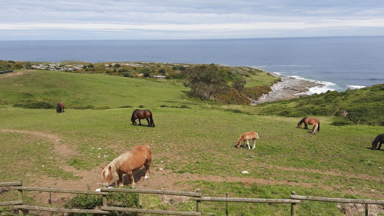 Posada Punta Linera San Vicente De La Barquera Dış mekan fotoğraf