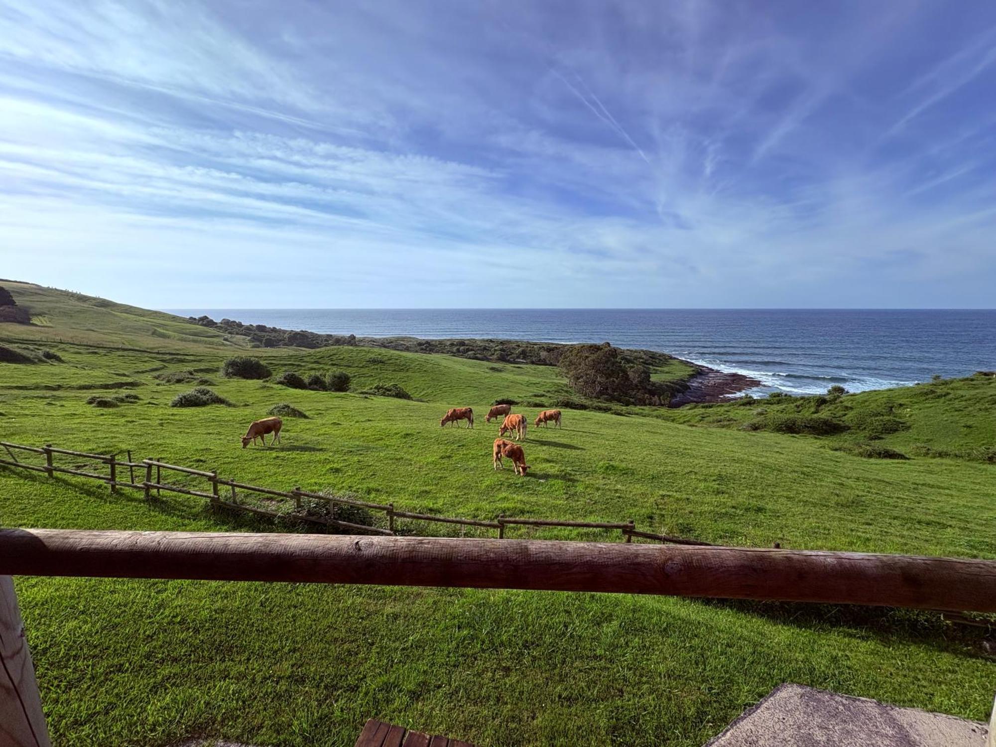 Posada Punta Linera San Vicente De La Barquera Dış mekan fotoğraf