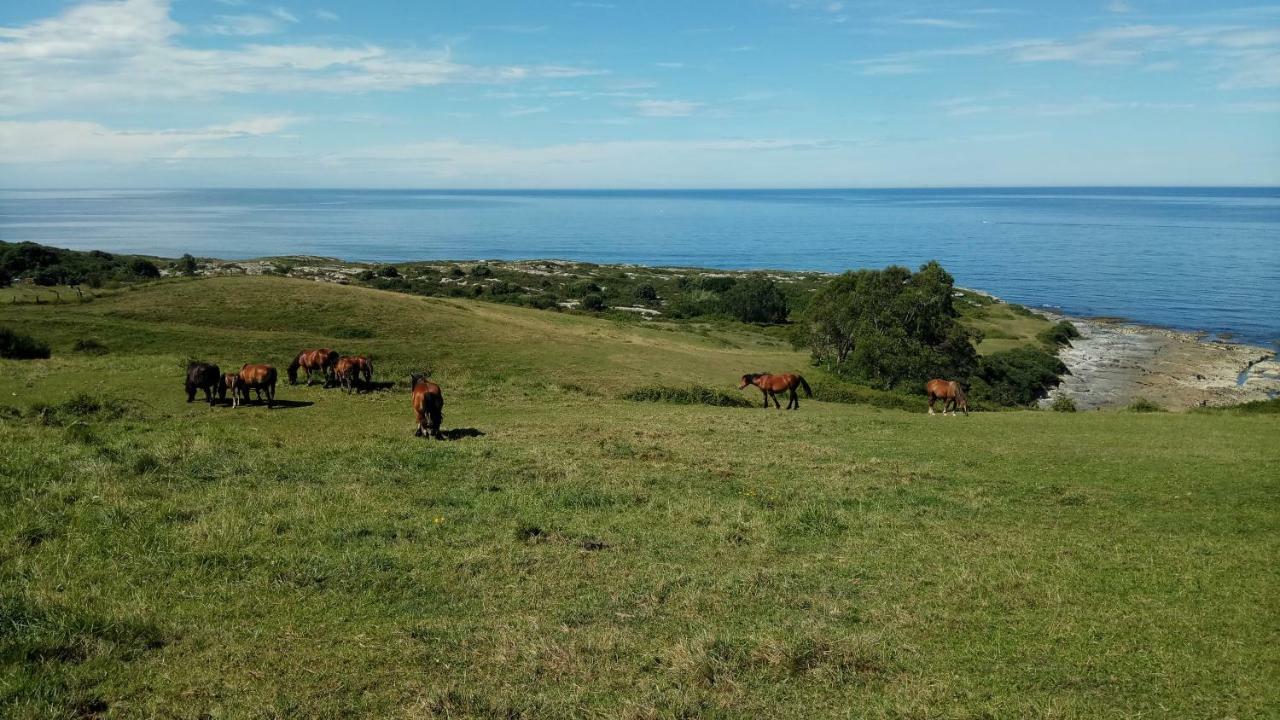 Posada Punta Linera San Vicente De La Barquera Dış mekan fotoğraf
